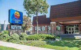 Comfort Inn Lundy'S Lane